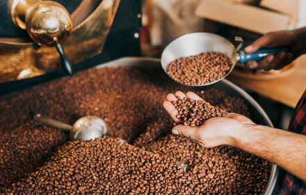 Stronghold - Revolutionizing the Roasting Game: The Blend of Tradition and Technology